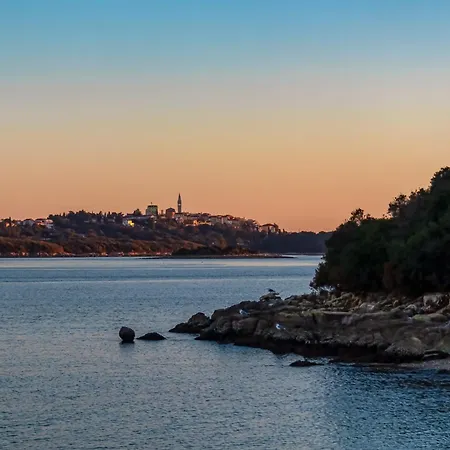 In With One-bedroom 28