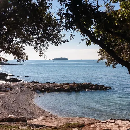 In With One-bedroom 28 *