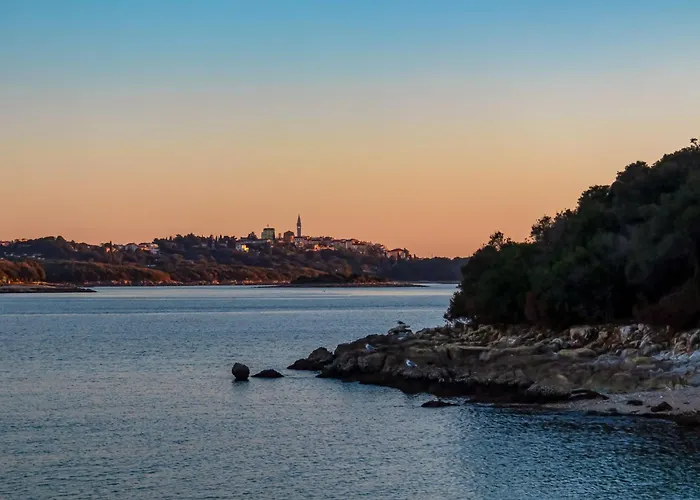 In With One-bedroom 28