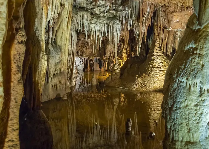 In With One-bedroom 28 Lejlighed Poreč