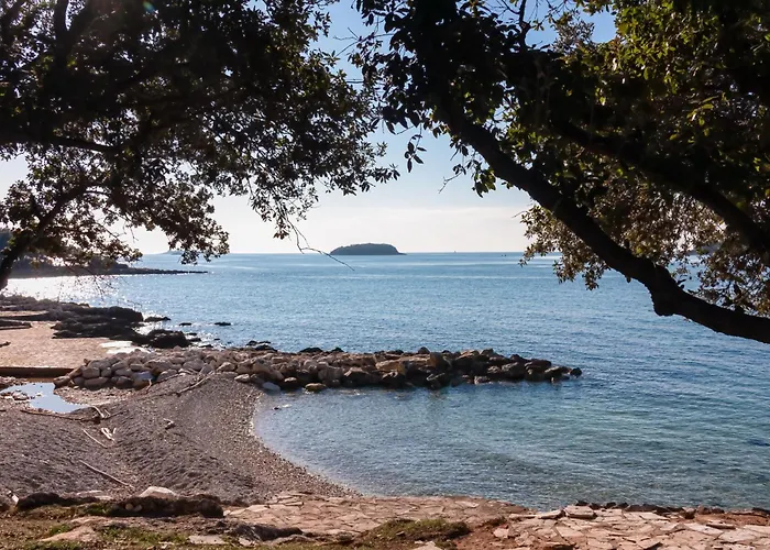 In With One-bedroom 28 *